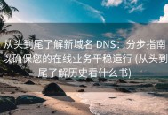 从头到尾了解新域名 DNS：分步指南以确保您的在线业务平稳运行 (从头到尾了解历史看什么书)