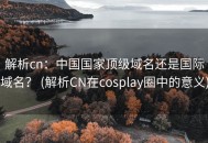 解析cn：中国国家顶级域名还是国际域名？ (解析CN在cosplay圈中的意义)