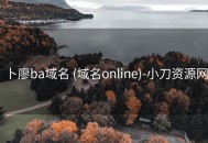 卜廖ba域名 (域名online)-小刀资源网