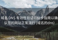 域名 DNS 有效性验证：分步指南以确认您的网站正常运行 (域名的dns)