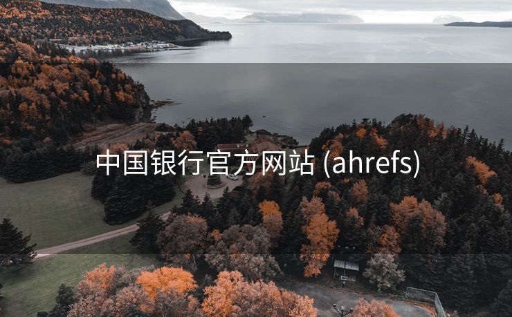 中国银行官方网站 (ahrefs)