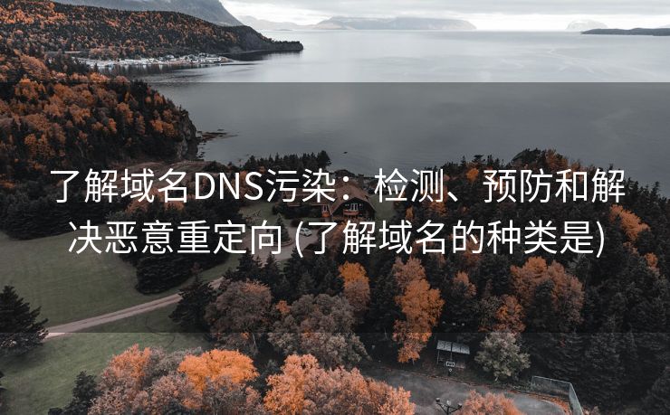 了解域名DNS污染：检测、预防和解决恶意重定向 (了解域名的种类是)
