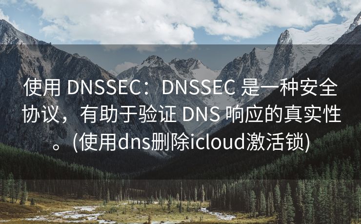 使用 DNSSEC：DNSSEC 是一种安全协议，有助于验证 DNS 响应的真实性。(使用dns删除icloud激活锁)