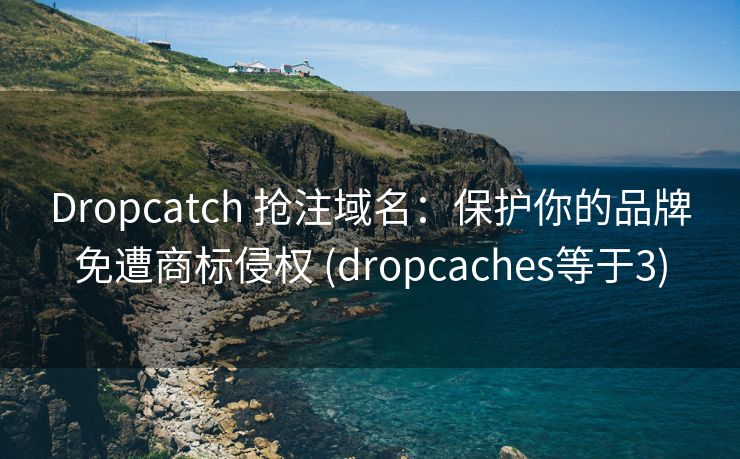 Dropcatch 抢注域名：保护你的品牌免遭商标侵权 (dropcaches等于3)