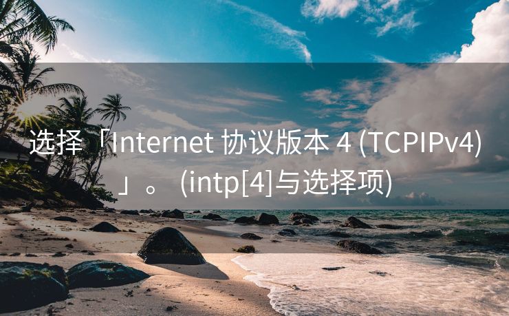 选择「Internet 协议版本 4 (TCPIPv4)」。 (intp[4]与选择项)