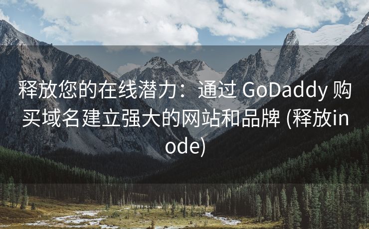 释放您的在线潜力：通过 GoDaddy 购买域名建立强大的网站和品牌 (释放inode)