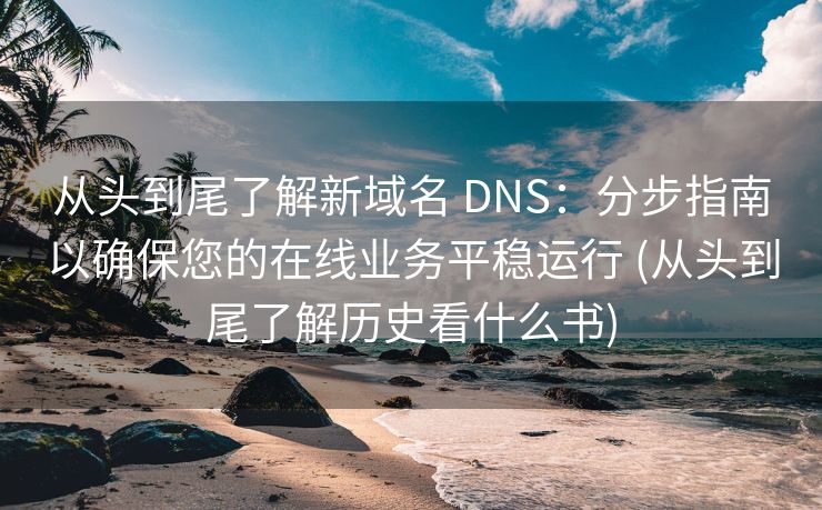 从头到尾了解新域名 DNS：分步指南以确保您的在线业务平稳运行 (从头到尾了解历史看什么书)