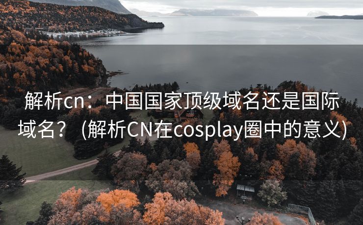 解析cn：中国国家顶级域名还是国际域名？ (解析CN在cosplay圈中的意义)