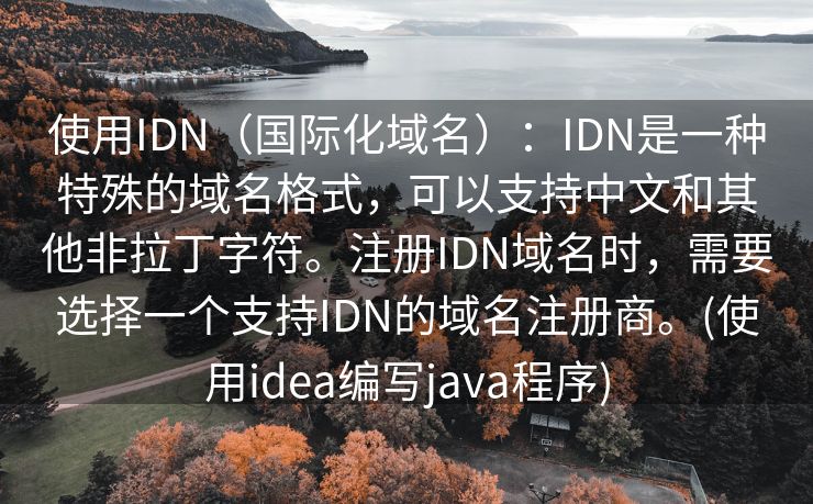 使用IDN（国际化域名）：IDN是一种特殊的域名格式，可以支持中文和其他非拉丁字符。注册IDN域名时，需要选择一个支持IDN的域名注册商。(使用idea编写java程序)