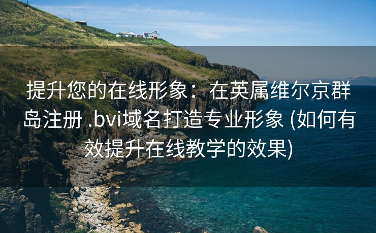 提升您的在线形象：在英属维尔京群岛注册 .bvi域名打造专业形象 (如何有效提升在线教学的效果)