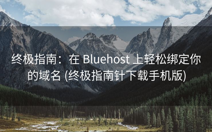 终极指南：在 Bluehost 上轻松绑定你的域名 (终极指南针下载手机版)